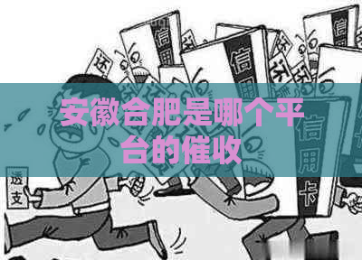 安徽合肥是哪个平台的