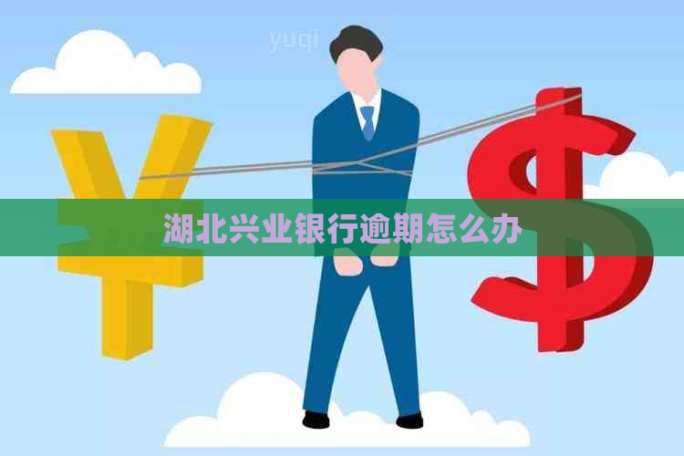 湖北兴业银行逾期怎么办