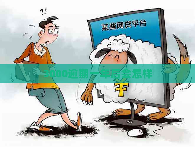 3000逾期一年后会怎样