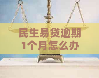 民生易贷逾期1个月怎么办