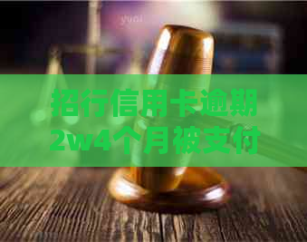 招行信用卡逾期2w4个月被支付令