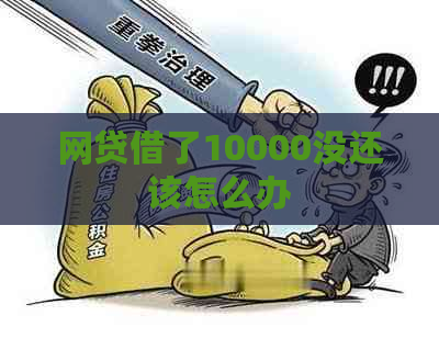 网贷借了10000没还该怎么办