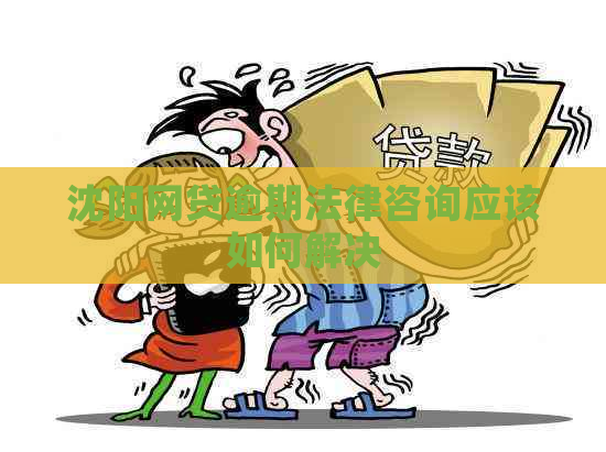 沈阳网贷逾期法律咨询应该如何解决