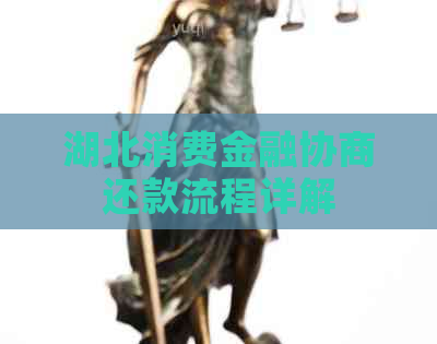 湖北消费金融协商还款流程详解