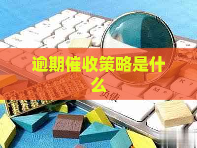 逾期策略是什么