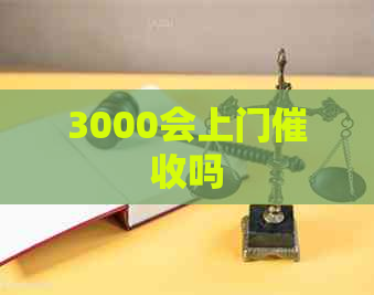 3000会上门吗