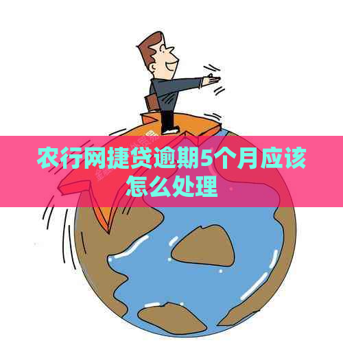 农行网捷贷逾期5个月应该怎么处理