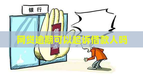 网贷逾期可以起诉借款人吗
