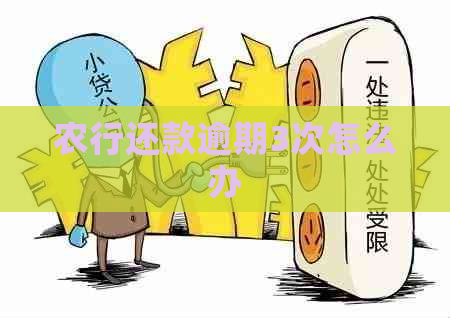 农行还款逾期3次怎么办
