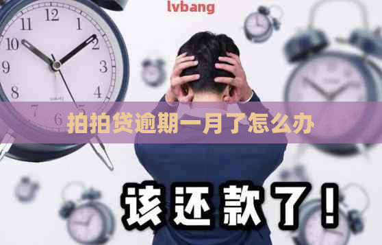 逾期一月了怎么办