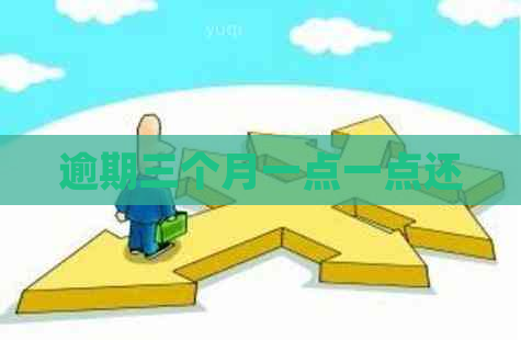 逾期三个月一点一点还