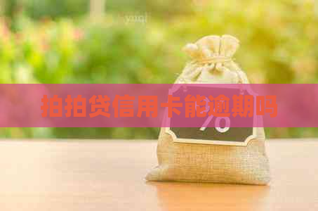 信用卡能逾期吗