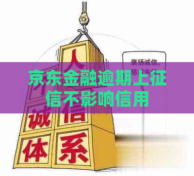京东金融逾期上不影响信用