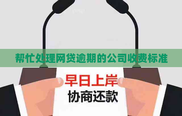 帮忙处理网贷逾期的公司收费标准