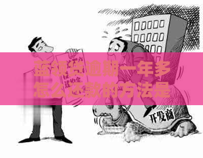 蓝领贷逾期一年多怎么还款的方法是什么