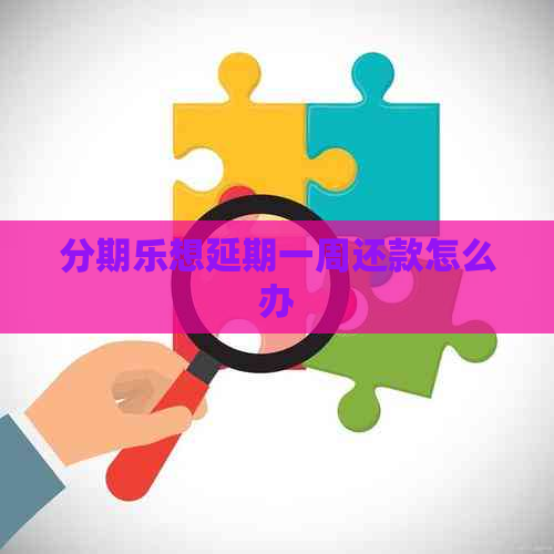 想延期一周还款怎么办