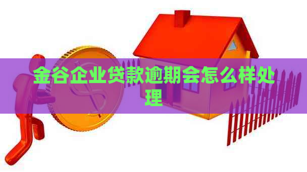 金谷企业贷款逾期会怎么样处理