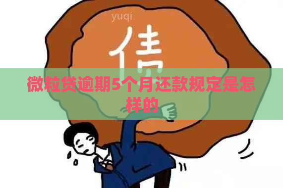 微粒贷逾期5个月还款规定是怎样的