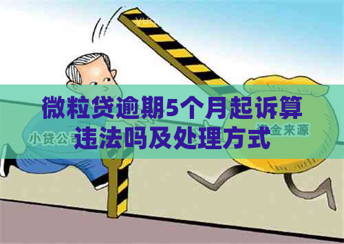 微粒贷逾期5个月起诉算违法吗及处理方式