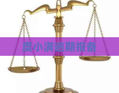 度小满逾期报备