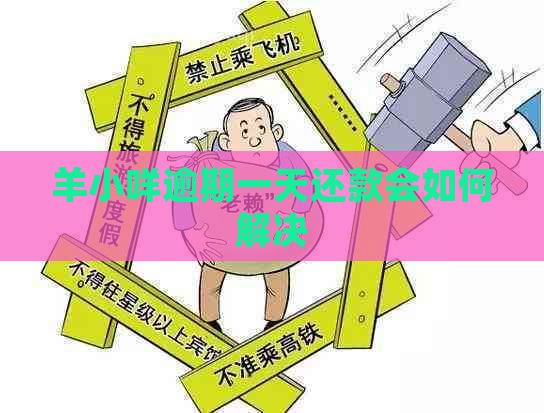 羊小咩逾期一天还款会如何解决