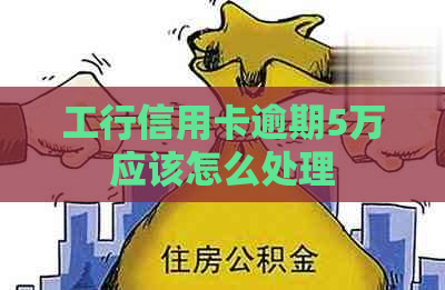 工行信用卡逾期5万应该怎么处理
