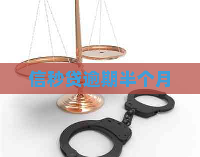 信秒贷逾期半个月