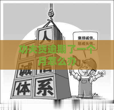 功夫贷逾期了一个月怎么办