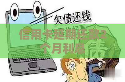 信用卡延期还款2个月利息