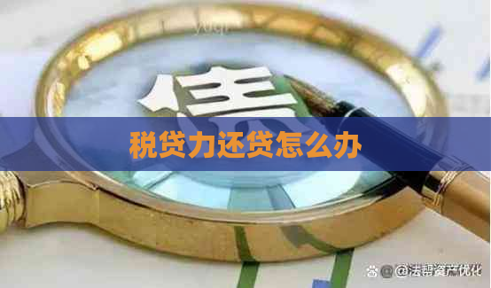 税贷力还贷怎么办