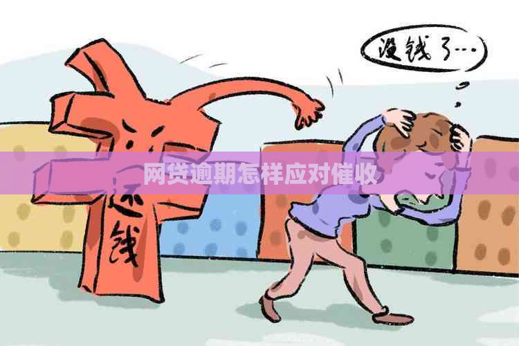网贷逾期怎样应对