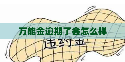万能金逾期了会怎么样