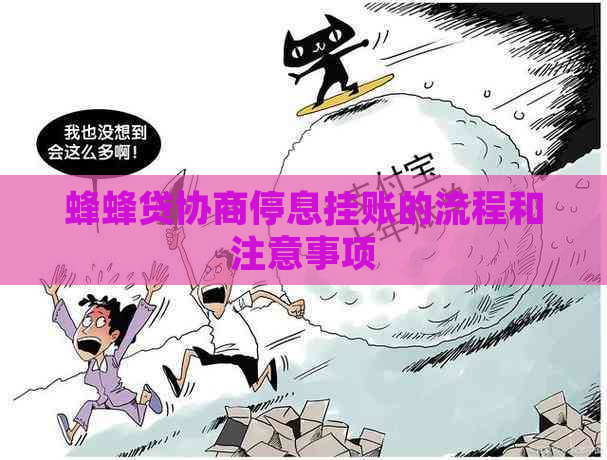 蜂蜂贷协商停息挂账的流程和注意事项