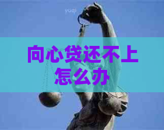 向心贷还不上怎么办