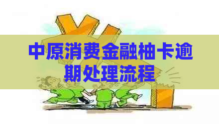 中原消费金融柚卡逾期处理流程