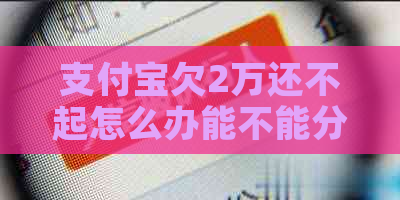 支付宝欠2万还不起怎么办能不能分期还款