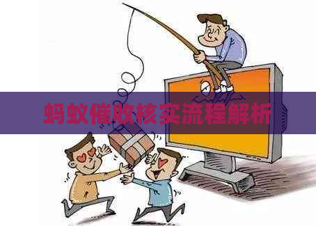 蚂蚁核实流程解析