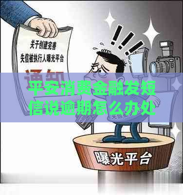 平安消费金融发短信说逾期怎么办处理