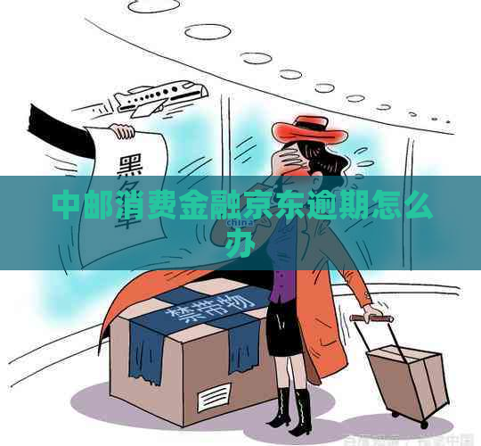 中邮消费金融京东逾期怎么办