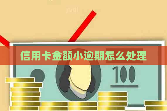 信用卡金额小逾期怎么处理