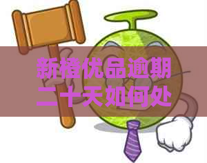 新橙优品逾期二十天如何处理