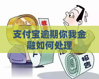 支付宝逾期你我金融如何处理