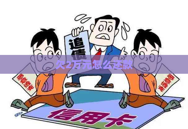 欠2万元怎么还款