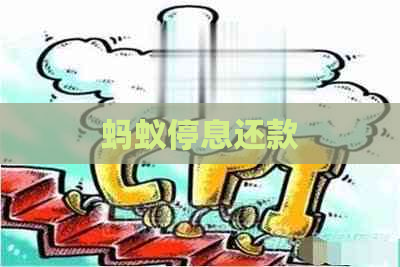蚂蚁停息还款