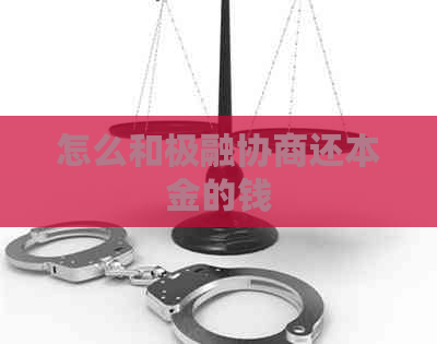 怎么和极融协商还本金的钱