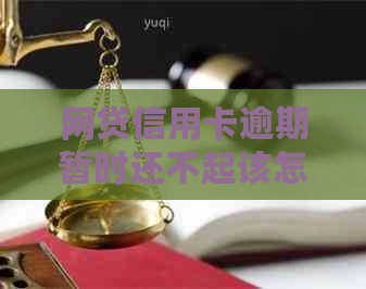 网贷信用卡逾期暂时还不起该怎么办