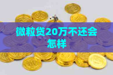 微粒贷20万不还会怎样