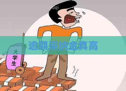 逾期滞纳金真高
