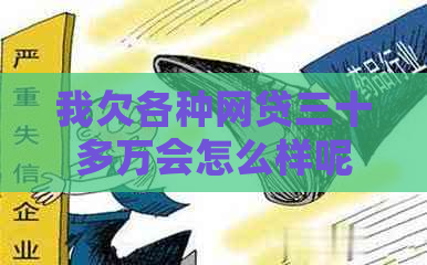 我欠各种网贷三十多万会怎么样呢