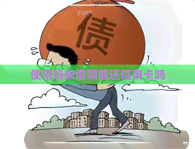 使用蚂蚁网贷能还信用卡吗
